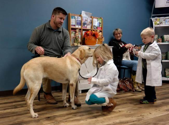 [practice:city] Veterinarian