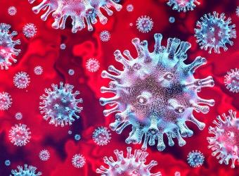 A Pet Owner’s Guide to COVID-19