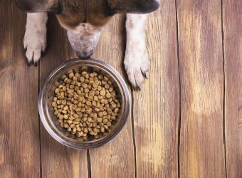 Deciphering Pet Food Labels