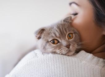 Why Don’t Cats Receive the Routine Veterinary Care They Need?